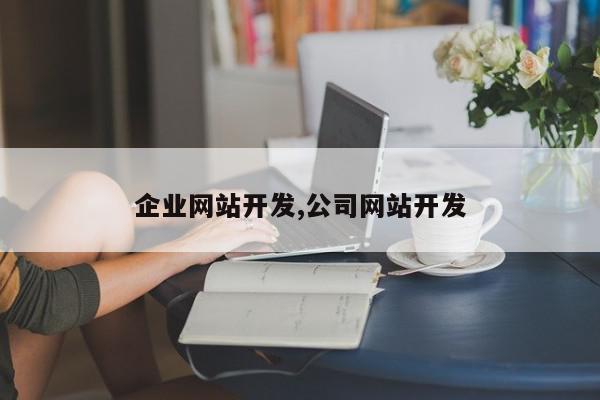 企业网站开发,公司网站开发
