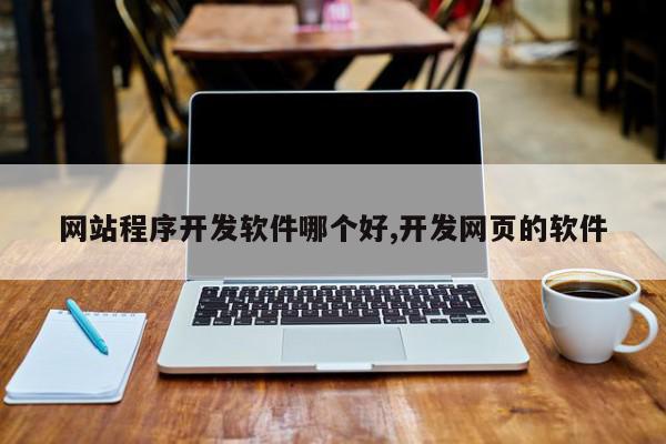 网站程序开发软件哪个好,开发网页的软件
